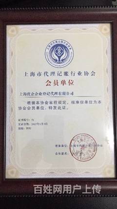 商標(biāo)代理 企業(yè)品牌保護(hù)與發(fā)展的專業(yè)護(hù)航者